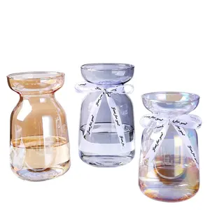 Farbige galvanisieren glas hyazinthe vase