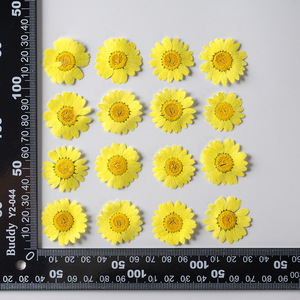 12 pz/confezione Margherite Daisy per Scrapbooking, Resina Epossidica, Bling-bling, <span class=keywords><strong>Fiore</strong></span> Naturale Pressato Ecologico - Product Image 3