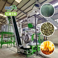 Granulateur de foin d'alfalfa RICHI à prix d'usine 4-30 T/H, moulin à granulés de foin et de biomasse pour l'herbe, à vendre