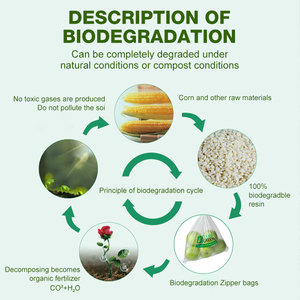 Sacchetti Biodegradabili in Resina PLA Compostabile per Frutta e Verdura, Prodotti da Produttore Cinese - Product Image 3