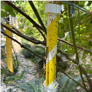 Piège à moustiques double face, autocollants imperméables pour insectes volants, surveillance des punaises de lit, pour pelouse, ferme, en plastique - Product Image 2