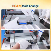 Machine d'emballage de comprimés et de capsules en plaquettes plates Alu-Alu, machine de formage et de scellage de blisters pour pilules
