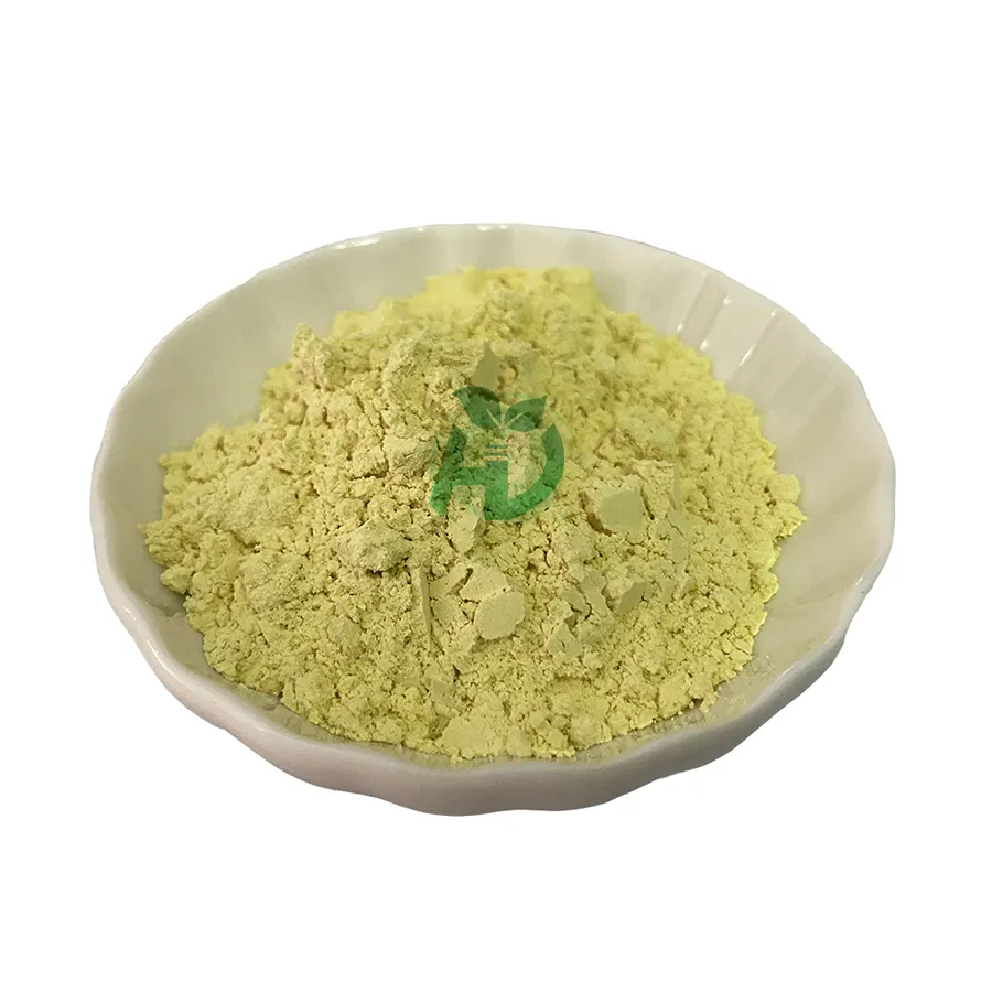 Best price Sophora japonica extract quercetina powder 98% Quercetin