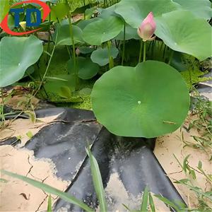 จีโอเมมเบรนสำหรับฝังกลบหลุม1มม. 2มม. HDPE บ่อเลี้ยงปลาซับในเขื่อนกันซึมกันน้ำ1.5มม. - Product Image 5