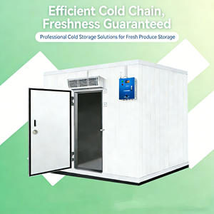 20ft zonnecontainer koelcel, mobiele vriescel, walk-in vriezer - Product Image 1