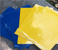 Piège à mouches en gel double face, plaque adhésive (jaune et bleu) pour le contrôle des insectes et des animaux