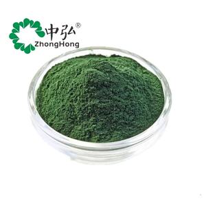 سعر الجملة مسحوق استخراج الكلوروفيل الطبيعي القابل للذوبان في الماء كلوروفيلين الصوديوم والنحاس - Product Image 1