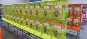 Máquina Expendedora Gacha Personalizable JOYFunplay con Aceptador de Billetes / Pago con Código QR para Parques de Atracciones - Product Image 6