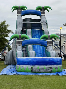 商業用キッズスライドダブルレーントロピカルヤシの木子供と大人のためのプール付きインフレータブルウォータースライド - Product Image 5