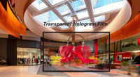 Écran holographique LED P6.25, affichage numérique holographique LED, signalisation numérique flexible personnalisée, intérieur, 90% de transparence, intérieur, mur vidéo 3D 4K