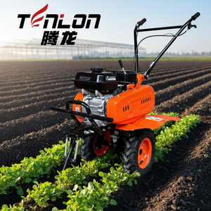 Motoculteur à essence 7HP à transmission par courroie, cultivateur compact pour petites exploitations agricoles, jardins domestiques, agriculture urbaine, Afrique, Asie, Amérique latine - Product Image 1