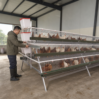 Cage à poules de type A 96 poules, état neuf, cage à volailles pour poulets de chair
