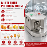 Multi-Fruit Schilmachine Professioneel Commercieel Pro RVS Elektrische Fruitschiller Sinaasappel Appel Citroen Kiwi Peer Perzik