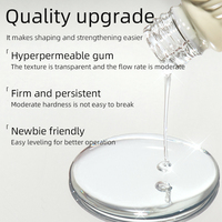 RS Nail Wholesale Reinforcement Gel Polish Strong Adhesion Anti-Lifting 28 Days Long Professional Shaping Hard Nail Gel Builder