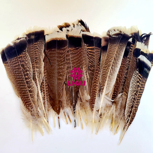 Plumas <span class=keywords><strong>de</strong></span> <span class=keywords><strong>Pavo</strong></span> Silvestre Naturales <span class=keywords><strong>de</strong></span> Diferentes Tamaños para Decoración, Venta al por Mayor <span class=keywords><strong>de</strong></span> Feather Factory, Precio Razonable, Excelente Calidad - Product Image 4