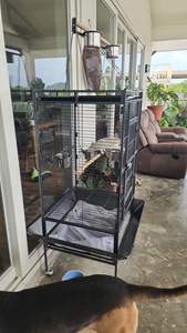 Vendita calda in acciaio inox forte Pet Canary gabbia per uccelli all'aperto grande gabbia per pappagalli portatile voliera grandi gabbie per uccelli in vendita uccelli - Product Image 5