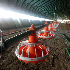 Hệ thống nuôi gà tự động bảo hành, thiết bị chăn nuôi gia cầm bằng nhựa và máng ăn cho gà trong chuỗi sản xuất. - Product Image 3