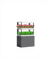 Système de plantation hydroponique aquaponique à usage domestique équipement d'irrigation vertical gratuit contrôlé pour noyau de ferme, pompe incluse
