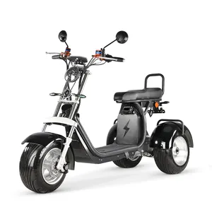 3 wheel citycoco scooter motor adult light weight powerful eec coc electric scooter citycoco 2000w 60v 20ah battery e scooter