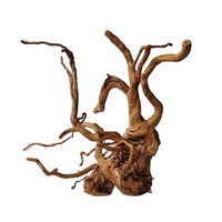 Bois flotté naturel de racine de rhododendron pour la décoration d'aquarium-aquarium, bois coulant pour l'aquascaping-crevettes