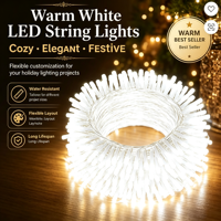 Guirlandes lumineuses LED OEM pour l'extérieur, décoratives, pour la maison, les fêtes, les mariages, Noël, guirlandes lumineuses LED personnalisées