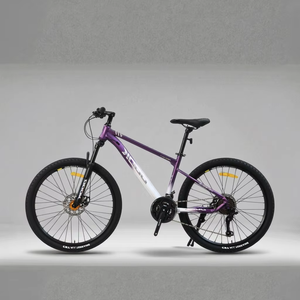 <span class=keywords><strong>Vente</strong></span> en gros de vélo <span class=keywords><strong>VTT</strong></span> Offre Spéciale <span class=keywords><strong>DH</strong></span> 29 "vélo de montagne de descente professionnel avec pédales <span class=keywords><strong>VTT</strong></span> haut de gamme et cycle à double frein à disque - Product Image 5