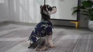 Vestiti cane camicia hawaiana persone cane genitore-bambino vestiti estivi - Product Image 4