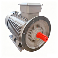 Moteur à induction triphasé IE4 à haut rendement 3 kW 4 CV 5,5 kW 7,5 CV 11 kW 15 CV 4 pôles 1500 tr/min TEFC IC411 pour pompe à eau et souffleur