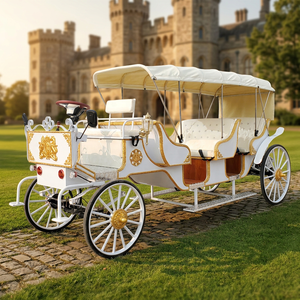 Calèche de Mariage Rétro Style Européen, Voiture de Tourisme Panoramique à Toit Ouvert pour 8 Passagers, Calèche à Chevaux Touristique à Vendre - Product Image 1