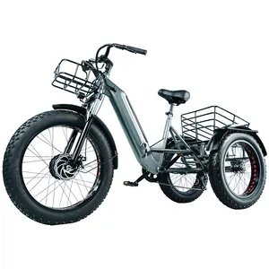 Family Cargo E-Bike Dreirad Elektro fahrrad Dreirad Fahrrad kühler Familie Elektro fahrrad