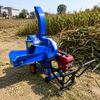Machine à couper la paille pour usage agricole, équipement de coupe de fourrage à moteur à essence