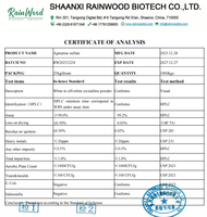 RAINWOOD Agmatine Sulfate 99% Suplemen Aditif Makanan CAS 2482-00-0 Bubuk Agmatine Sulfate Kelas Makanan