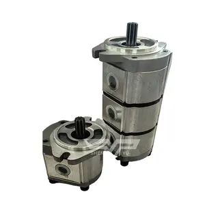 Taiwan Stainless Steel Small High Pressure Gear Pump BD Series Hydraulic Oil Pump For Small Cylinder Kawasaki