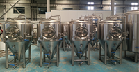 Micro-brasserie : Cuves de brassage 500L, Vases de fermentation de bière, Pompe à moteur, Commande manuelle pour usage domestique, usines de fabrication, hôtels