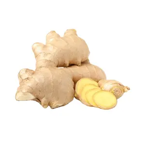 Cheap ginger for sale natural air dried ginger ginger in bulk in China