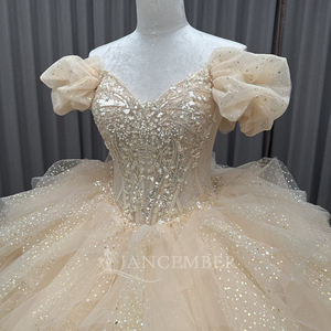 Robe de bal élégante avec appliques en champagne, broderie, perles, paillettes, taille naturelle, longueur au sol, couleur bonbon, fête, Quinceañera - Product Image 3