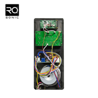 Carte amplificateur RQSONIC Pro Audio 15AFH 150W RMS DSP 2 canaux pour enceinte active
