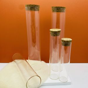 Tubo de Vidrio Transparente Rústico y Ecológico en Diferentes Tamaños para Especímenes y Objetos Decorativos - Product Image 1