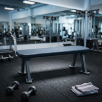 Banc plat horizontal pour exercices avec structure en acier inoxydable - Banc d'entraînement sécurisé