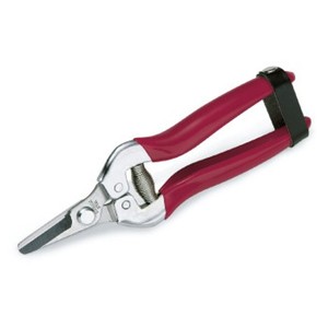 Sécateur à lame droite pour vignetterie et jardinage, article 118 - Product Image 1