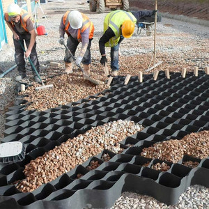 Màu đen và màu xanh lá cây geocell bảo vệ dốc Đen - Product Image 4