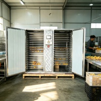Heteluchtcirculatie voedseldroger voor cassave, peper, knoflook en fruitdroging