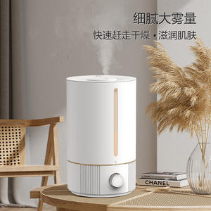 Humidificador de Escritorio Cross Border Blanco 10027C de Gran Capacidad y Funcionamiento Silencioso para Uso en el Hogar y Dormitorio - Product Image 4