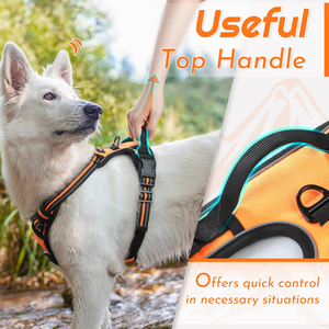Harnais pour chien en nylon réfléchissant respirant personnalisé avec boucle de traction en alliage de zinc, harnais pour chien en maille douce et confortable - Product Image 4