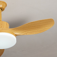 Ventilateur de plafond à inverter pour usage domestique avec télécommande, lumière intégrée, en acier inoxydable, forte puissance de ventilation pour salon, salle à manger, chambre à coucher