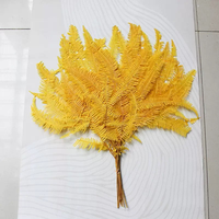 Fleurs de fougère de montagne préservées à prix de gros, fleurs séchées pour décoration de mariage, fête, Noël