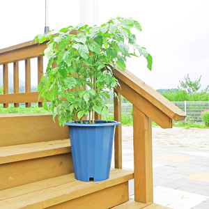 Maceta Redonda Grande de Plástico de 12L, Color Gris Oscuro, Ligera, para Plantas de Interior y Exterior, Hogar, Balcón, Patio - Product Image 2