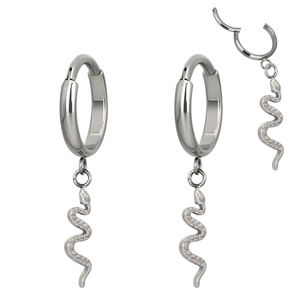 Vente en gros de boucles d'oreilles en titane Anneaux d'anneau d'anneau d'anneau d'anneau d'anneau d'anneau de segment articulé d'implant Clicker avec Zircon - Product Image 4