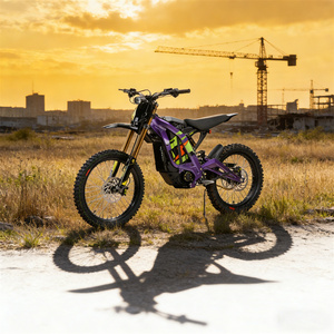 Luz de motocicleta de alto rendimiento con motor sin escobillas de 10000W para moto de cross, nueva, OEM, para el mercado europeo 2026, compatible con Light X - Product Image 1