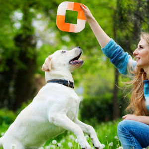 Juguetes Masticables para Perros LM, para Masticadores Agresivos, Juguete Interactivo de Silicona y Goma, con Fragancia, para el Cuidado Dental y la Limpieza de Dientes de Cachorros - Product Image 2